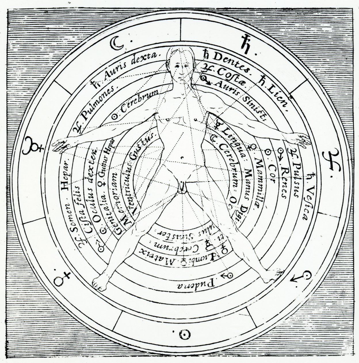 Figura vitoriana, de &39;Utriusque Cosmi Historia&39; de Robert Fludd, publicada em 1617 (gravura) de English School