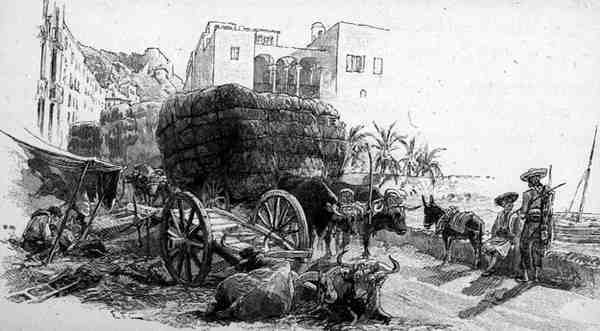 Vagões com Grama Esparto, Almeria, Espanha, de 