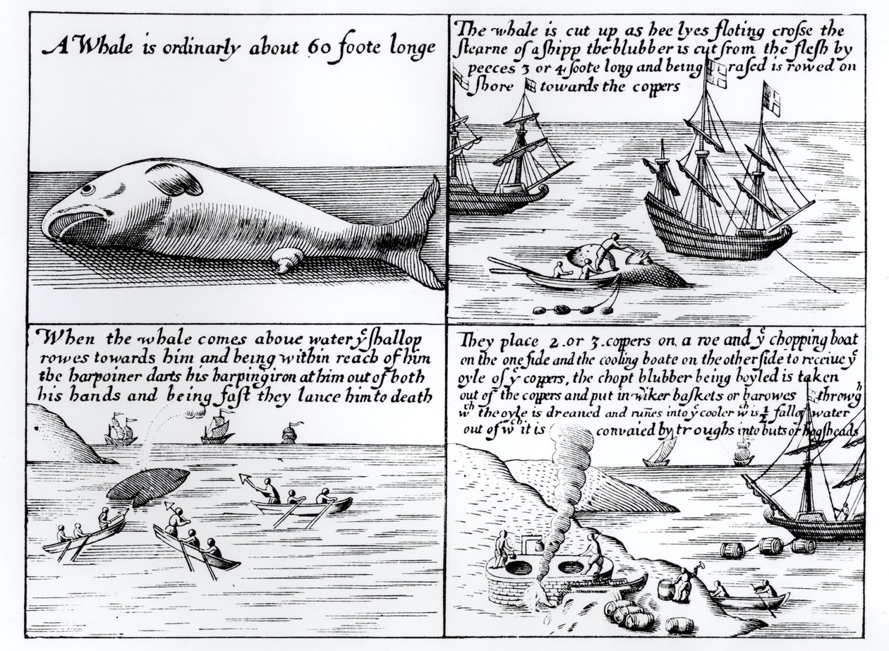 Baleeira em Spitzbergen em 1611 de English School