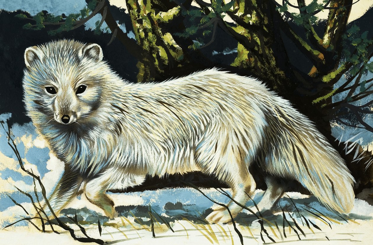 Lobo de English School