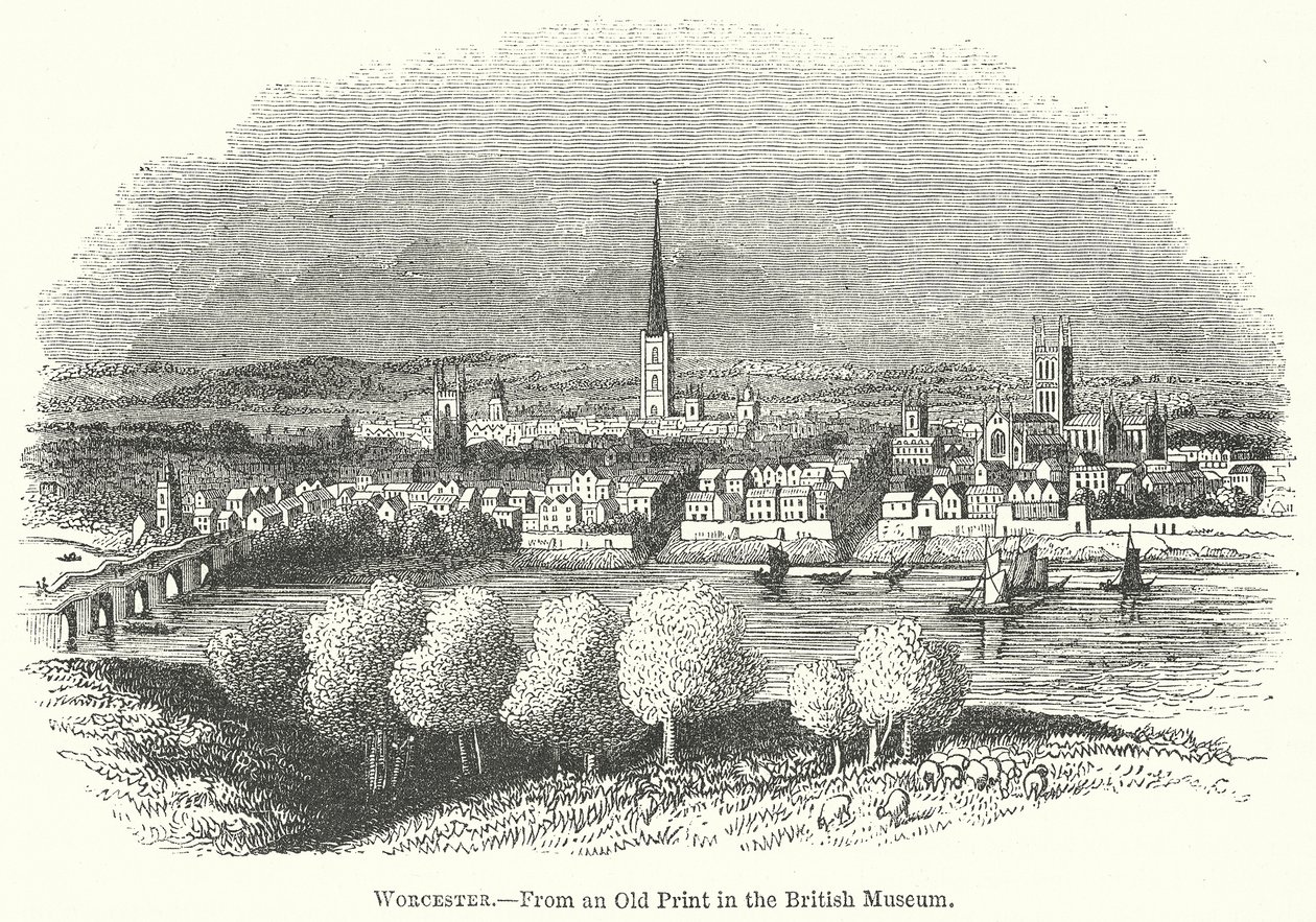 Worcester (gravura) de English School