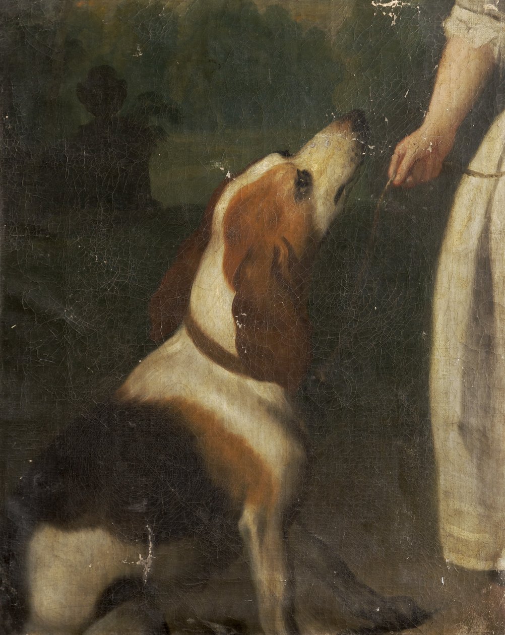 Um cão de caça de English School English School