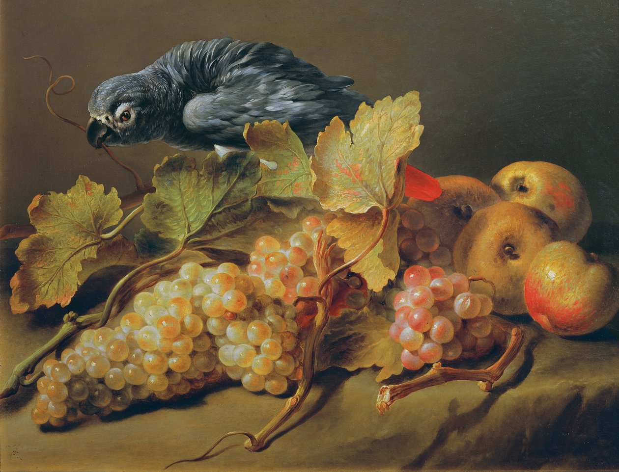 Natureza morta com papagaio e uvas de Erasmus von Engert