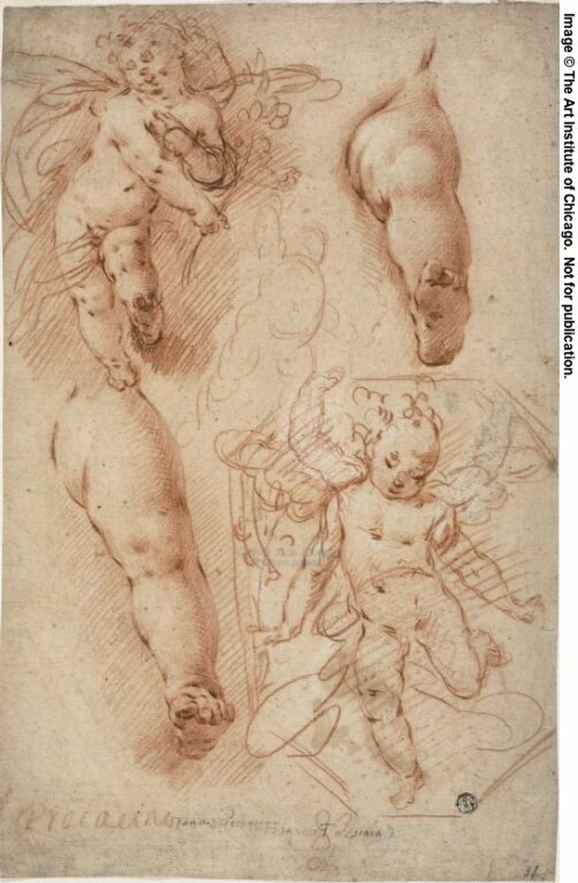 Esboços de Putti, Pernas de Ercole Procaccini the younger