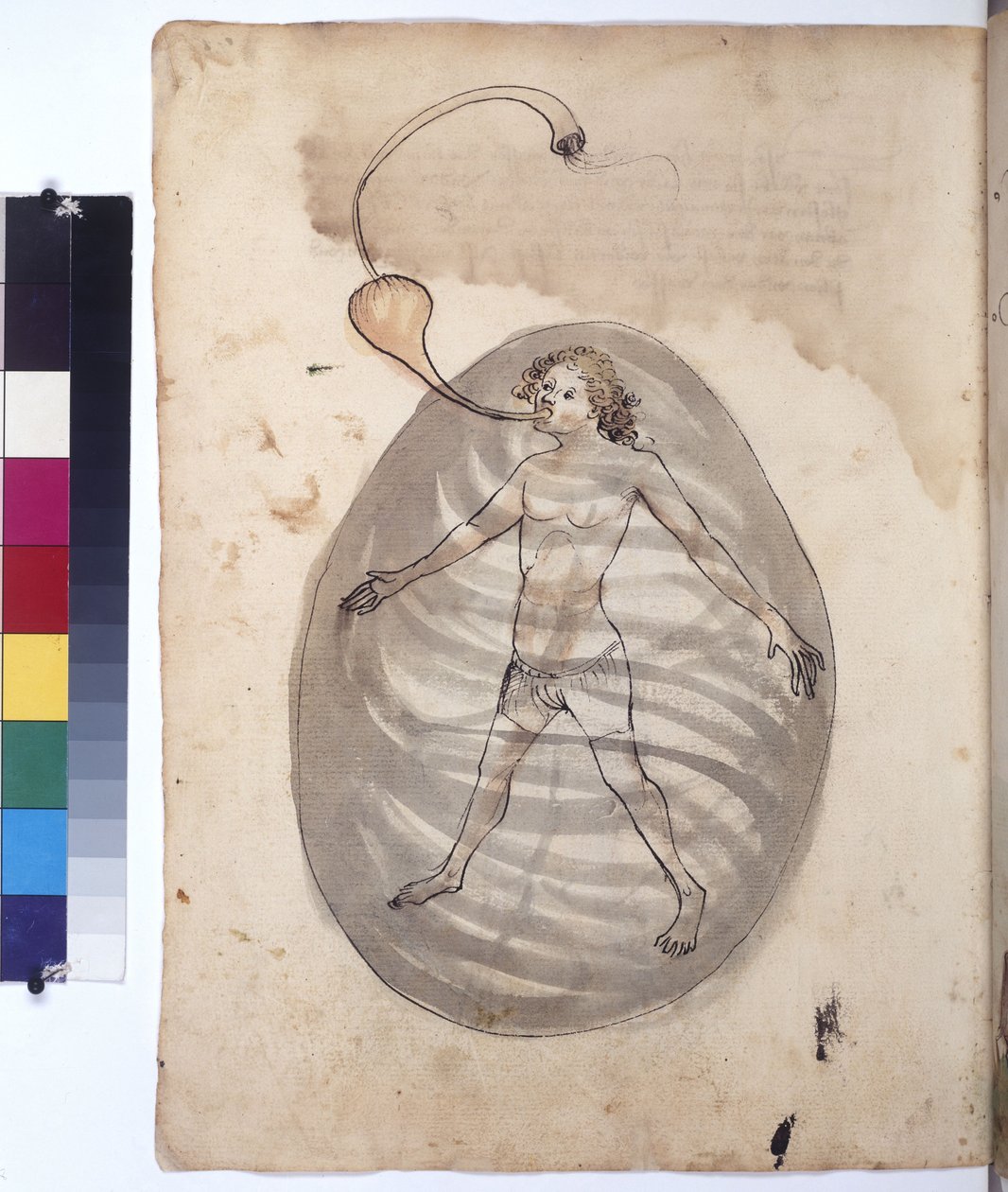Página inteira: mergulhador, c.1430 (desenho a caneta de cor) de Erich Lessing