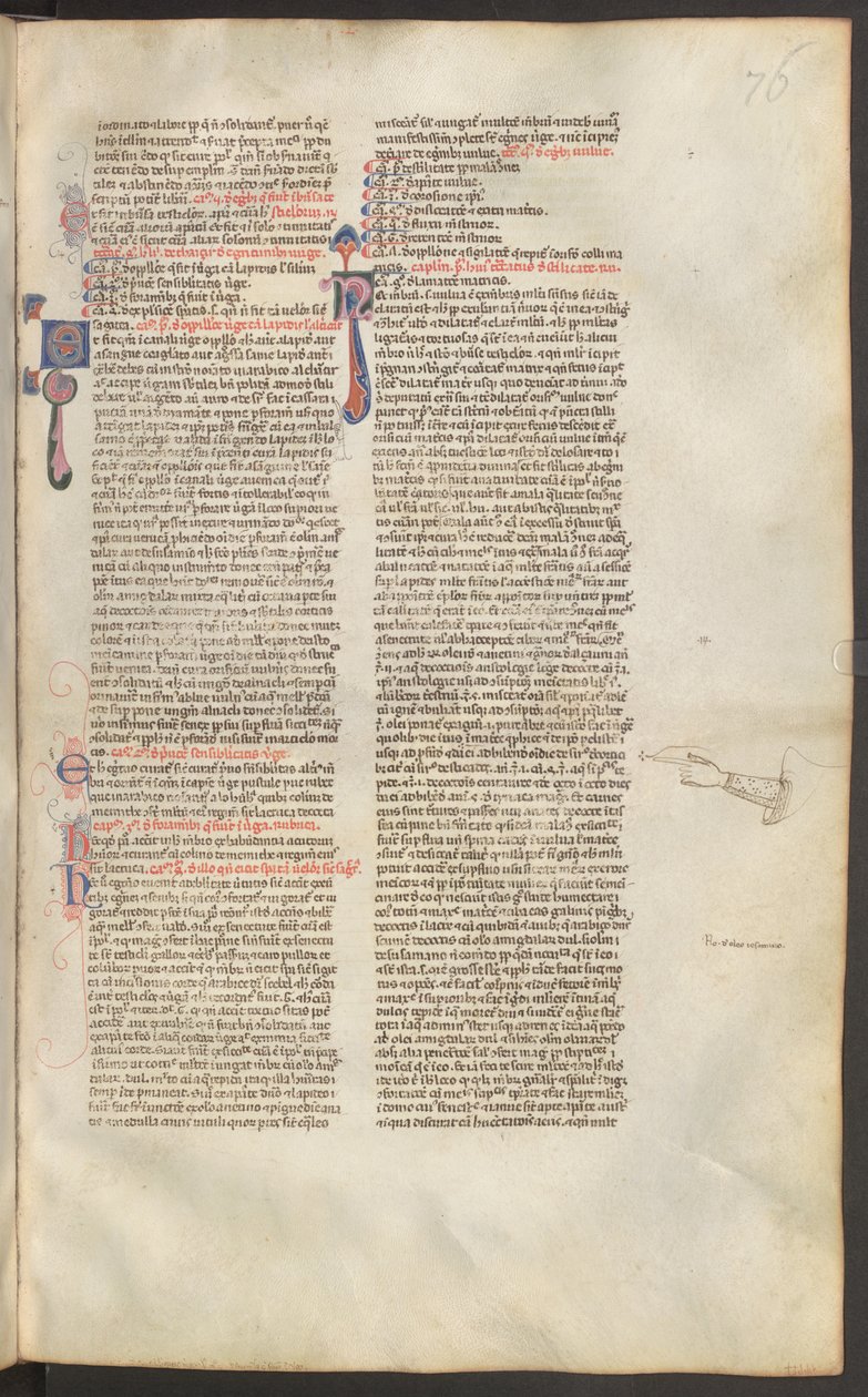 Página inteira: texto com inicial de Erich Lessing