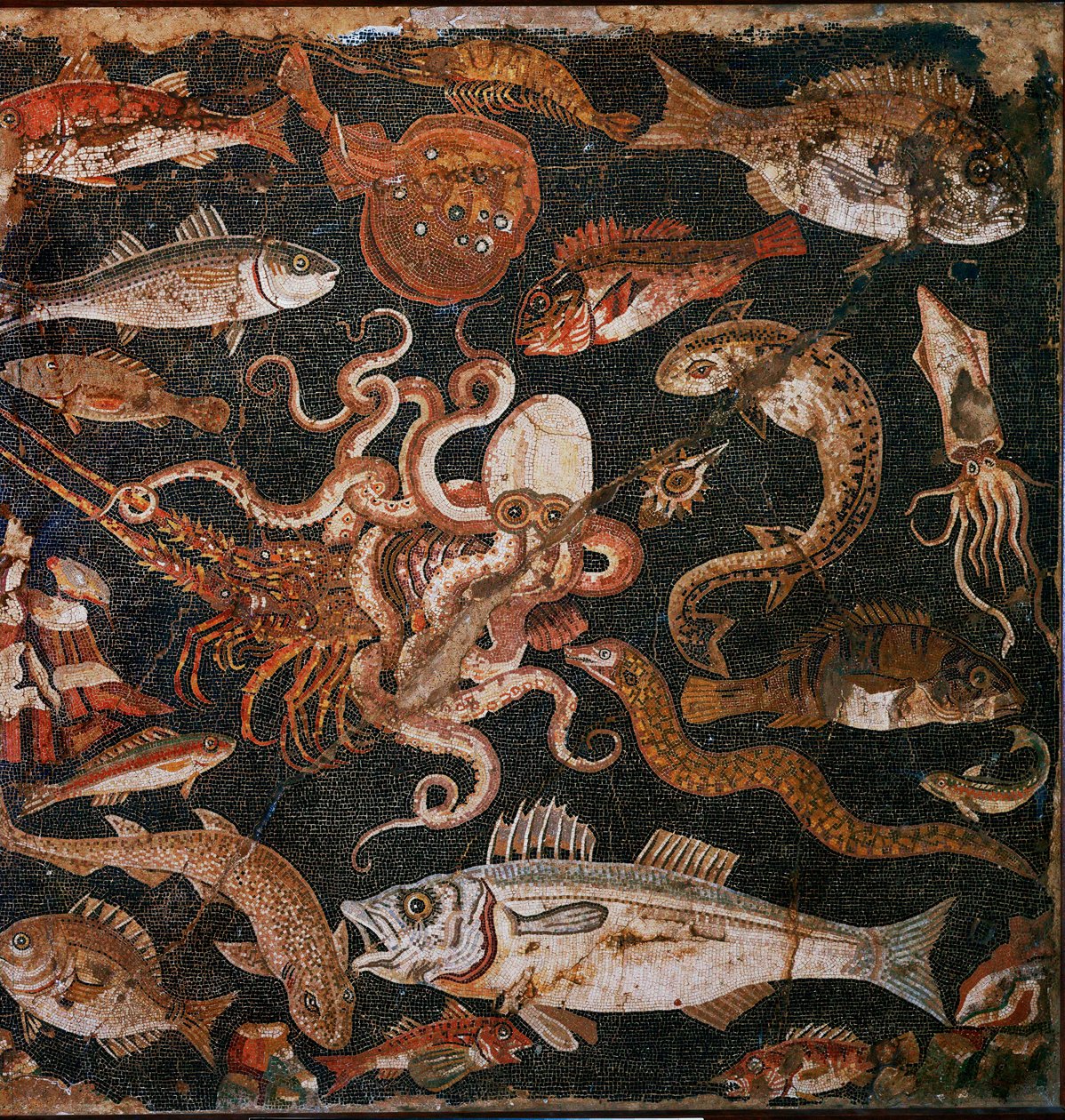 Fauna submarina. Mosaico de Pompeia, Itália de Erich Lessing