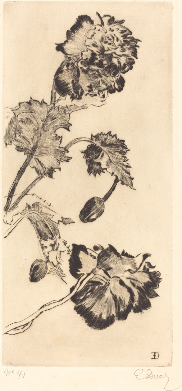 Flores (flores) de Ernest Ange Duez
