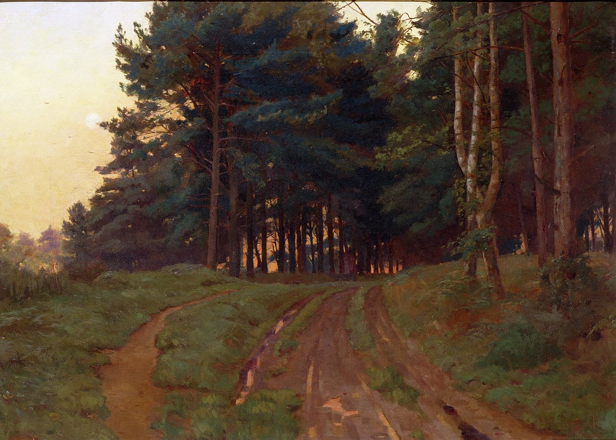 Silêncio reivindicou seu reinado da noite, 1888 de Ernest Arthur Rowe