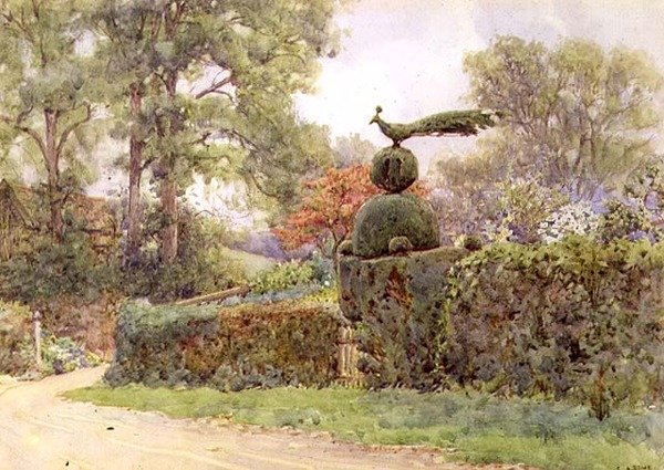 The Old Yew Hedge, Speldhurst, Kent (aquarela) de Ernest Arthur Rowe