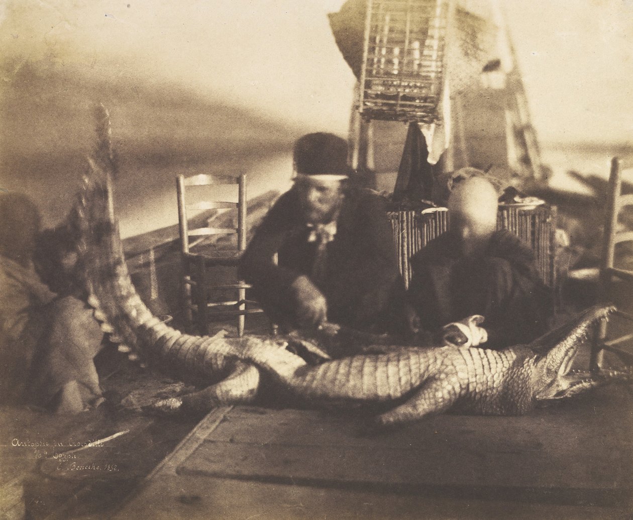 Autópsia do primeiro crocodilo a bordo, Alto Egito, 1852. de Ernest Benecke