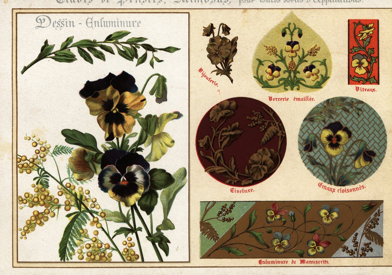 Imagens de pansies e mimosa de manuscritos e sua aplicação de Ernest Guillot