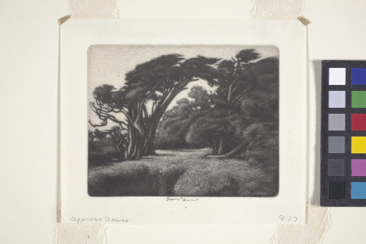 Cortador de relva Cypress Bower (mezzotint) de Ernest Haskell