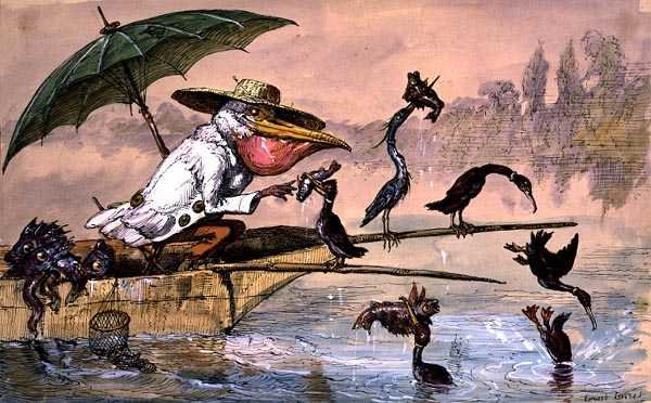 Cormorantes que apresentam o peixe a um pelicano num trocadilho sob um guarda-chuva do 