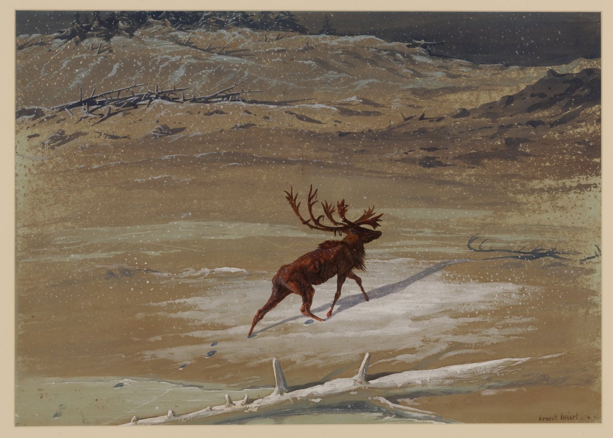 Stag, 1871 de Ernest Henry Griset
