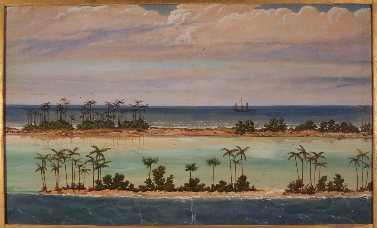 Tríptico de um Atol, 1871 de Ernest Henry Griset