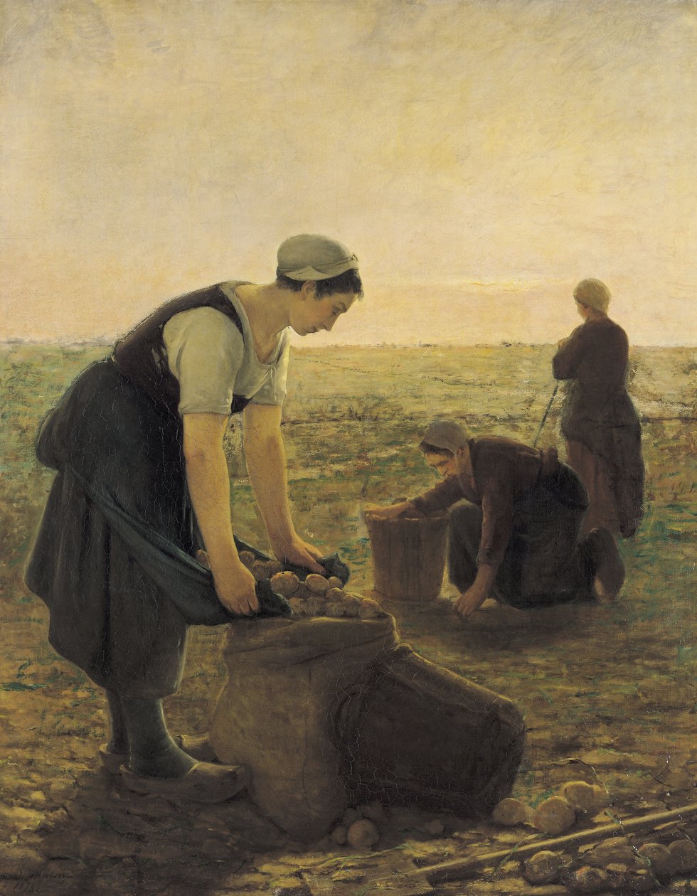 A Colheita De Batata de Ernest Masson