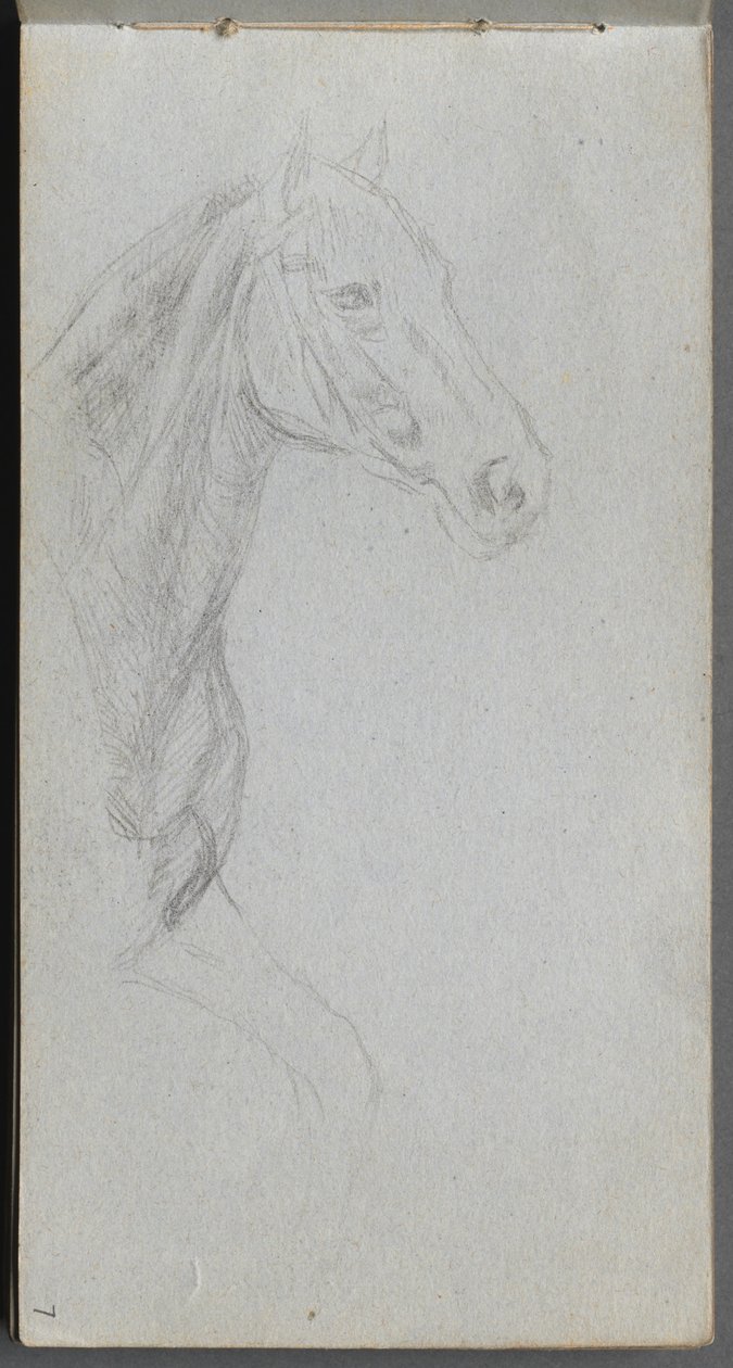 Sketchbook, página 07: Estudo de um cavalo de Ernest Meissonier