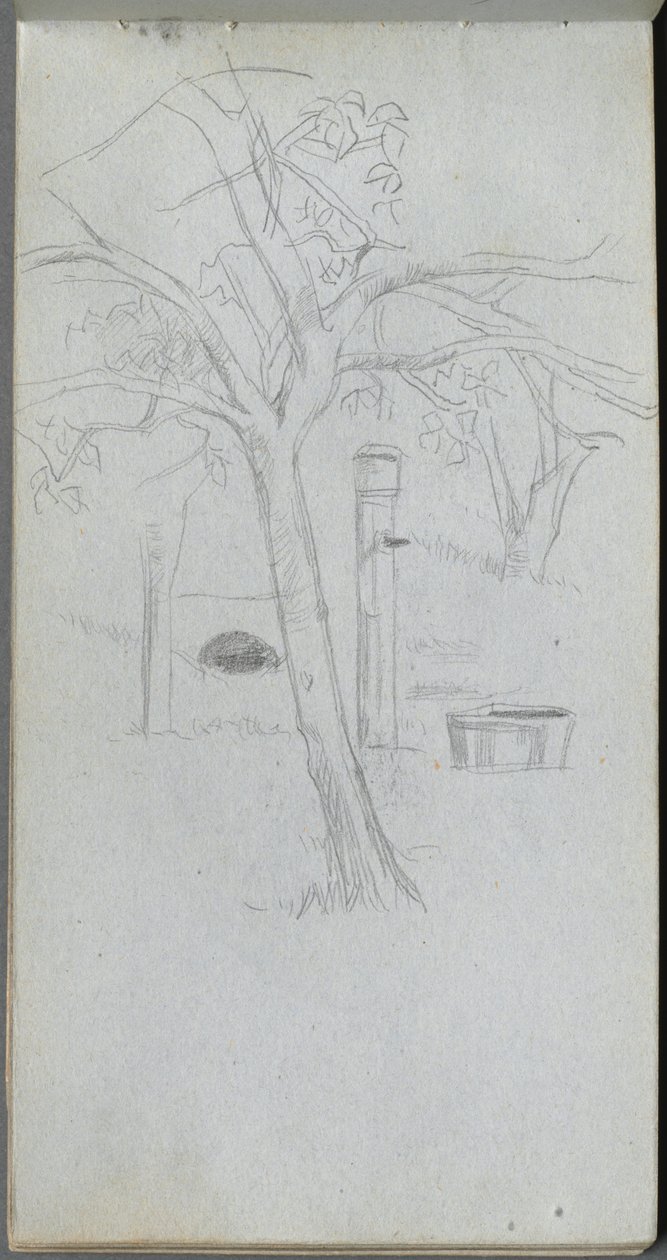 Sketchbook, página 36: Estudo de árvore de Ernest Meissonier