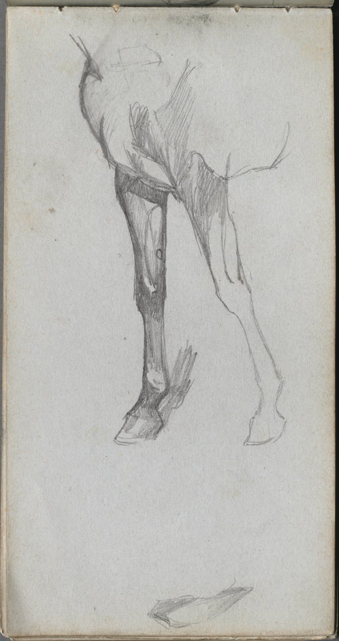 Sketchbook, página 66: Estudo de um cavalo de Ernest Meissonier