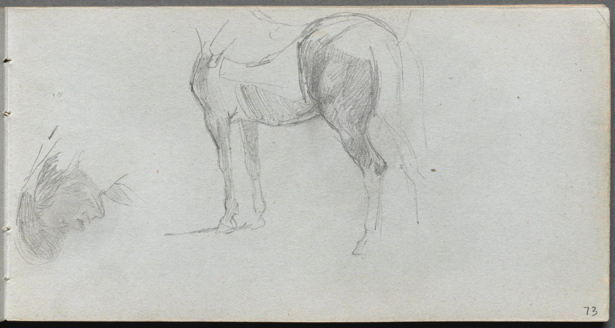 Caderno de desenho, página 73: Estudo de um cavalo, perfil. de Jean Louis Ernest Meissonier