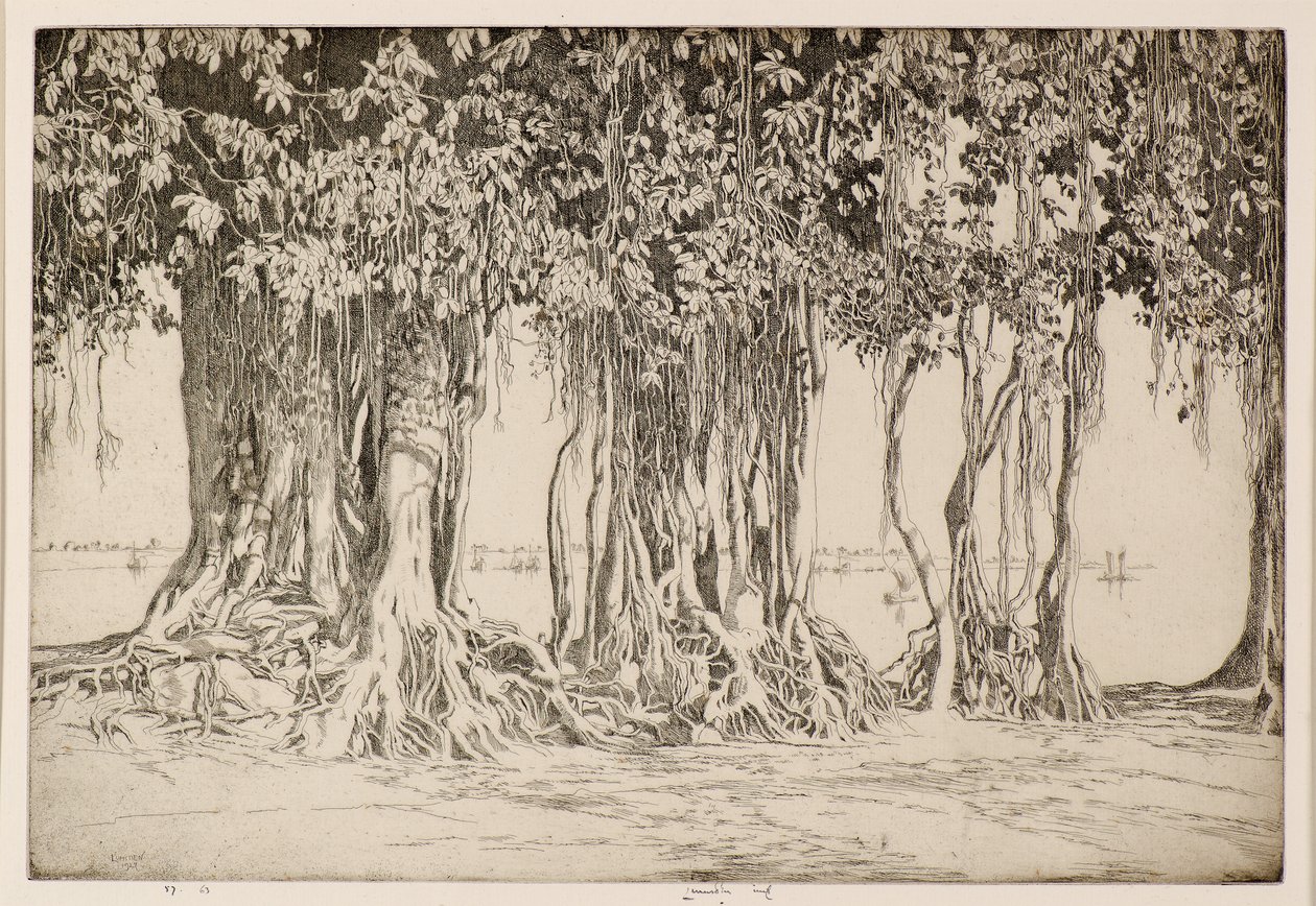 A árvore Banyan de Ernest Stephen Lumsden