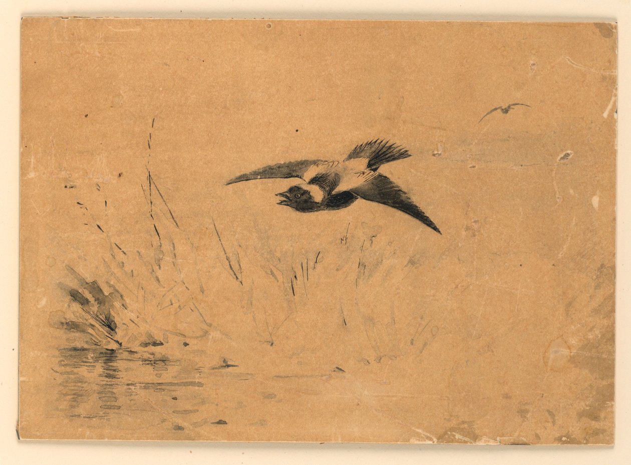 Bobolink de Ernest Thompson Seton
