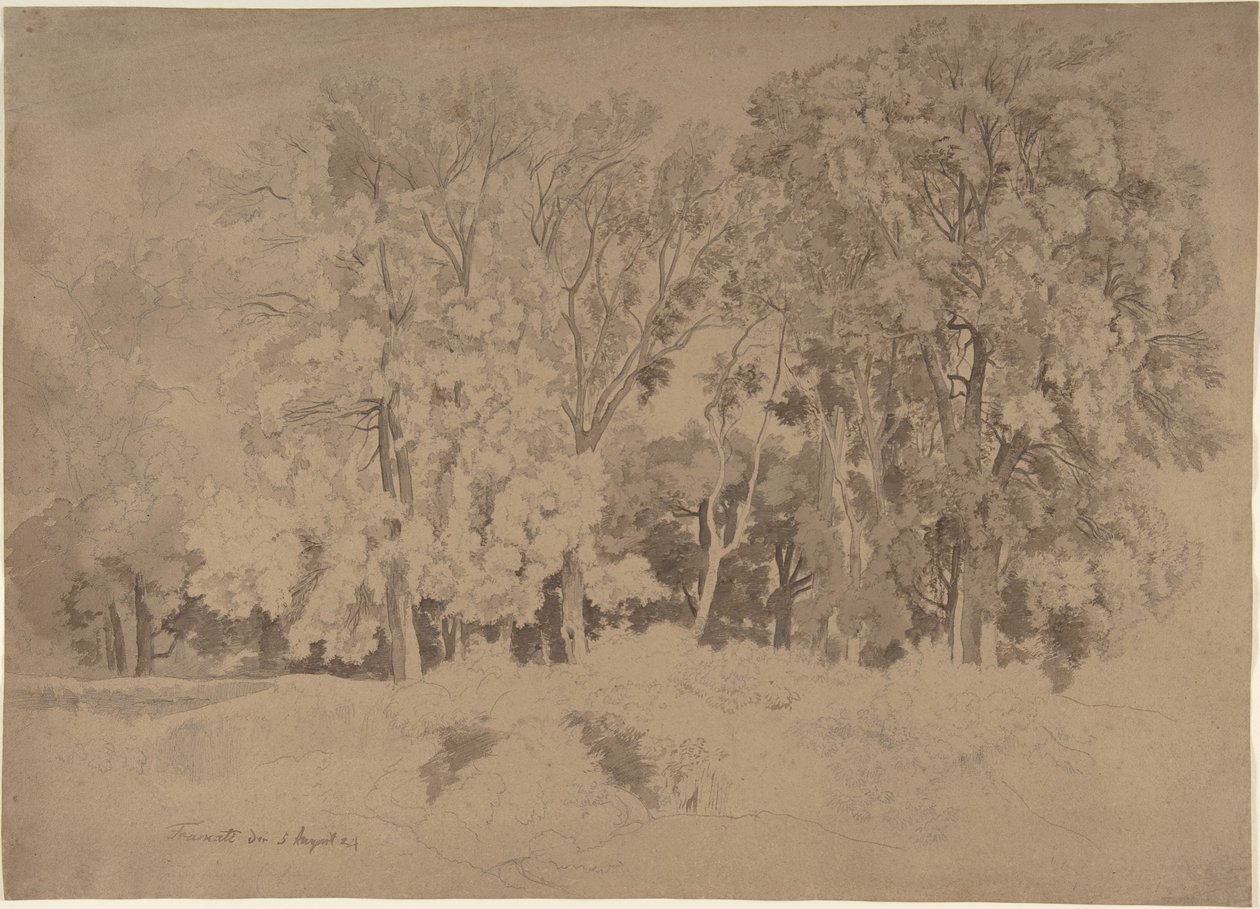 Orla de um bosque perto de Frascati de Ernst Fries