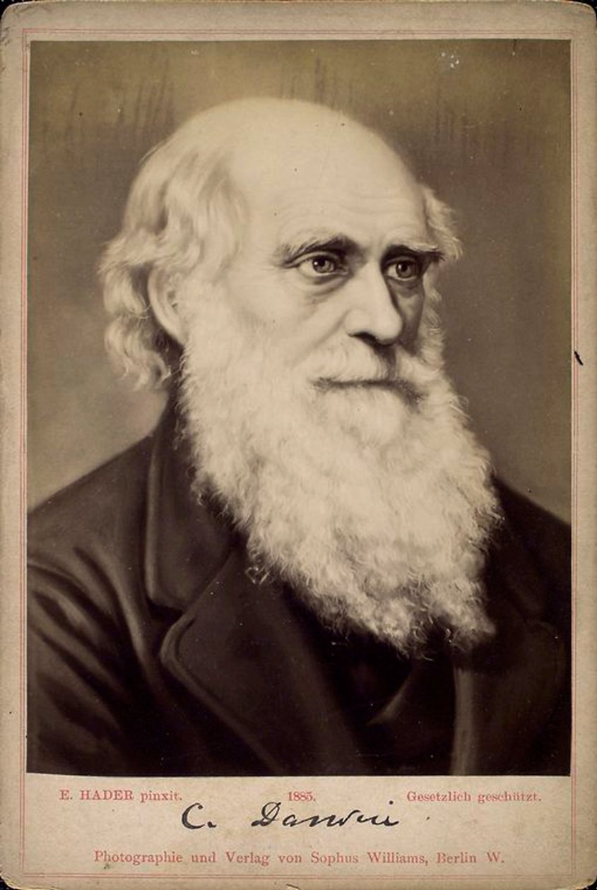 Charles Darwin, naturalista britânico, c1860s-c1870s de Ernst Hader