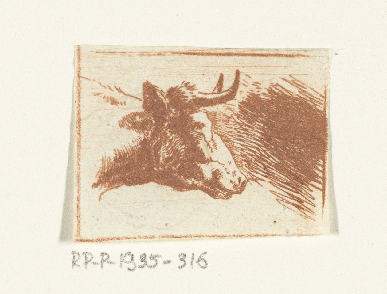Cabeça de vaca para a direita de Ernst Willem Jan Bagelaar