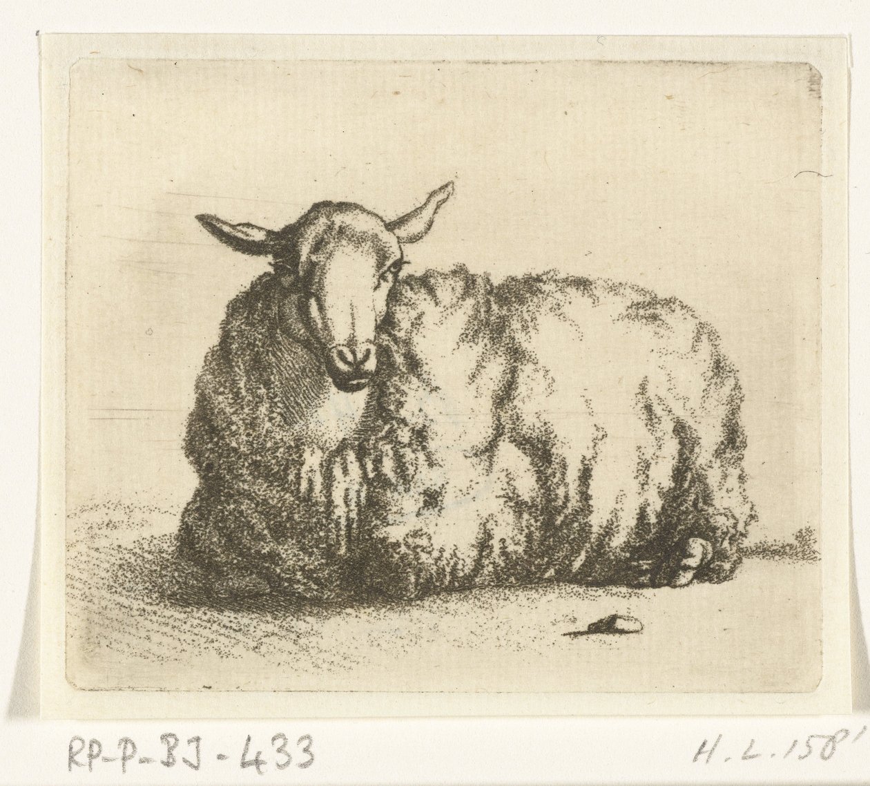 Ovelhas deitadas de frente de Ernst Willem Jan Bagelaar