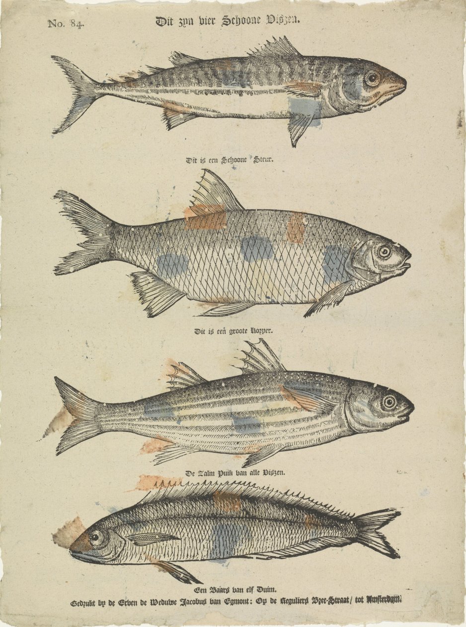 Estes são quatro lindos peixes (título sobre o objecto) de Erven de Weduwe Jacobus van Egmont
