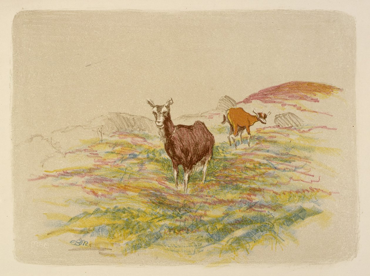 Cabras num campo de Esther Blaikie MacKinnon