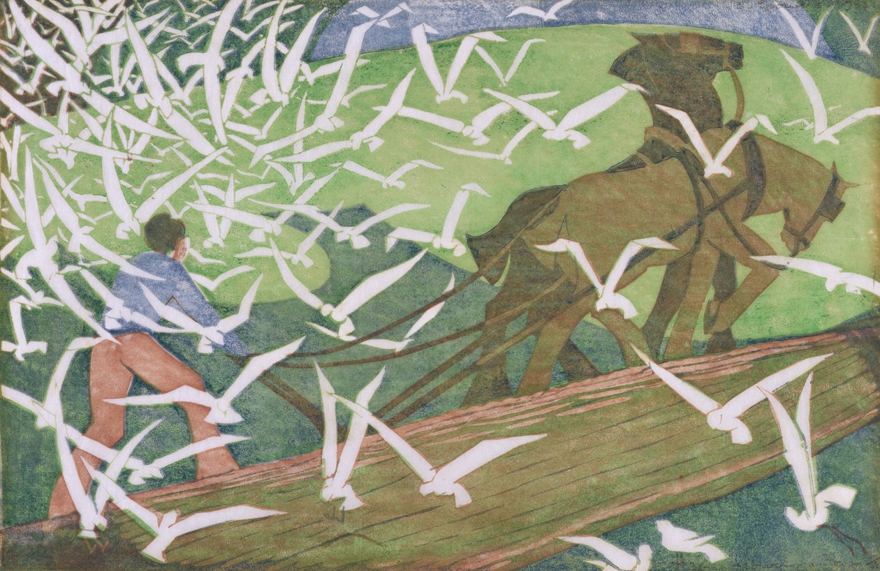 Pássaros a seguir a uma charrua de Ethel Spowers