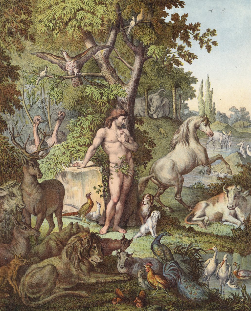 Adão no Jardim do Éden (litografia a cores) de Etienne Antoine Eugene Ronjat