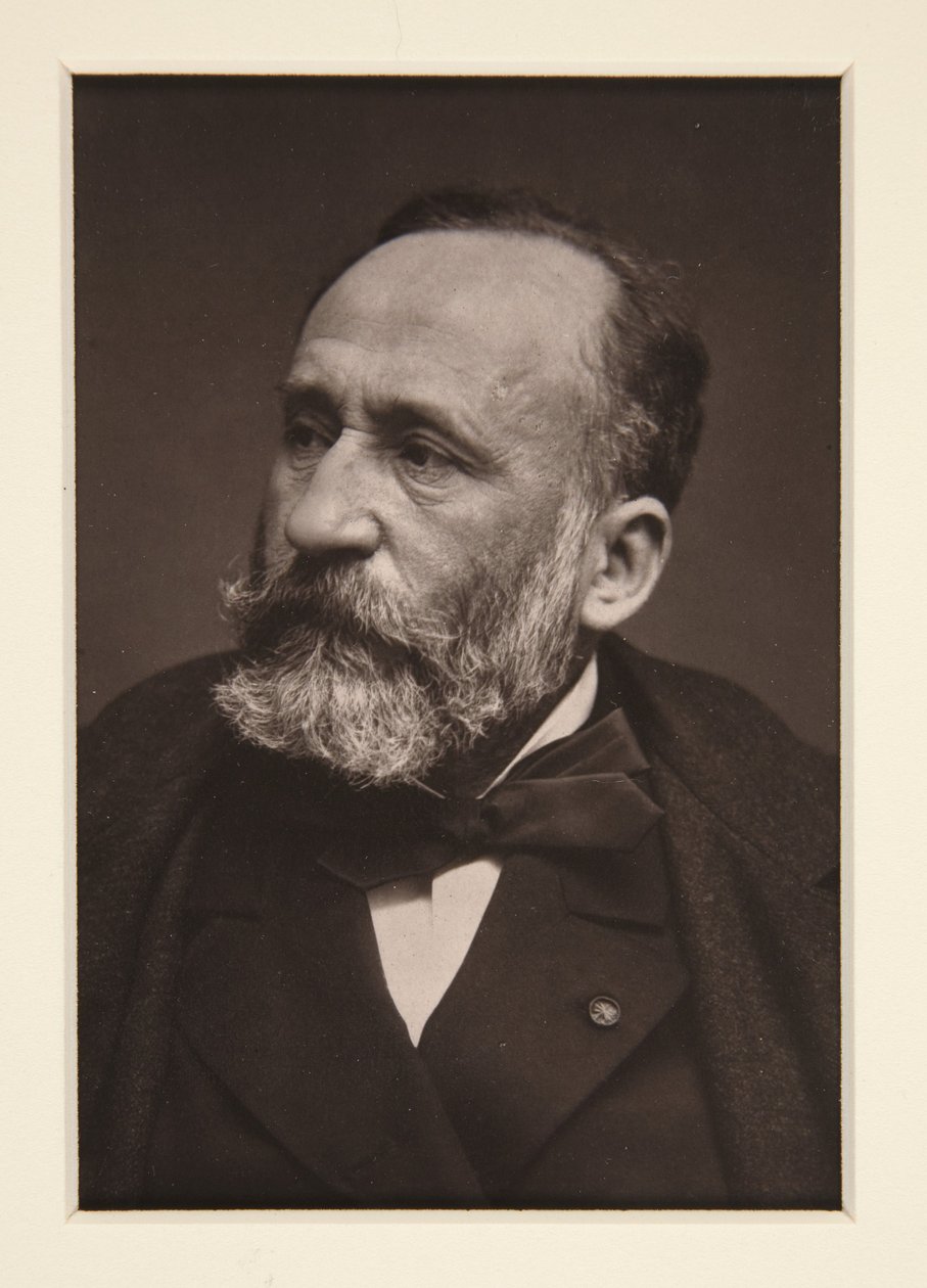 Retrato de Pierre Puvis de Chavannes (1824-1898) de Etienne Carjat