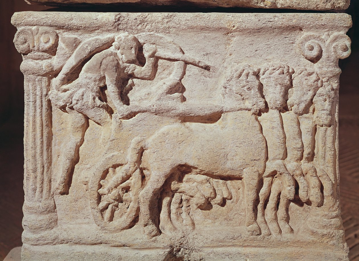 Detalhe, de, um, quadriga, de, um, sarcófago, homem, com, um, panturrilha terracota de Etruscan