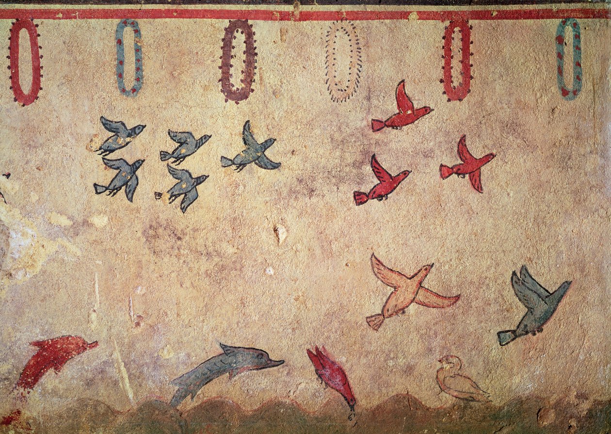 Aves aquáticas e golfinhos saltitantes, do Túmulo da Caça e Pesca, c.520-10 aC (pintura mural) de Etruscan