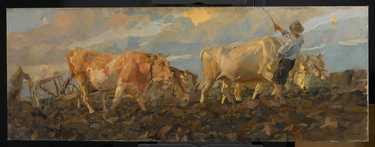 Oxen Ploughing, 1911 (óleo sobre linho) de Ettore Tito