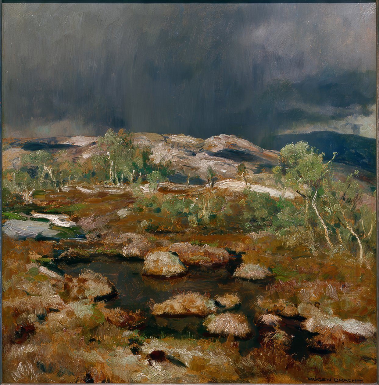 Chuveiros de chuva no Alto Mouro norueguês de Eugen Felix Prosper Bracht