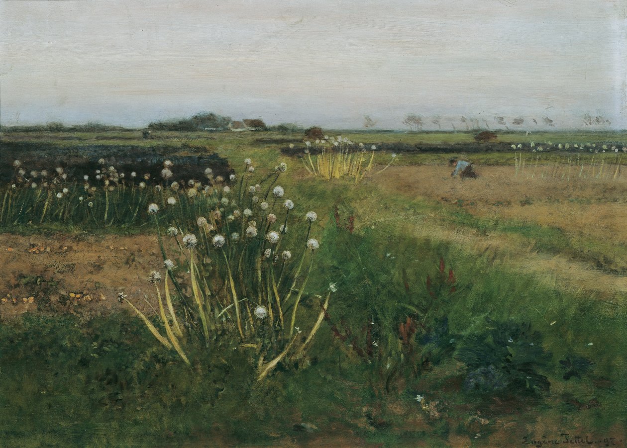 Campo de cebola florescendo de Eugen Jettel