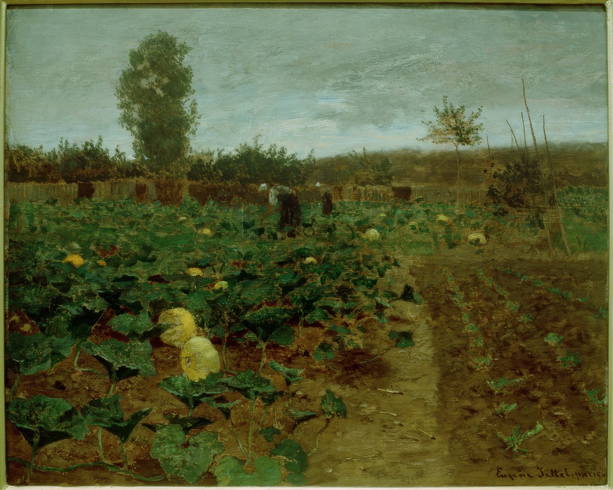 pumpkin patch de Eugen Jettel