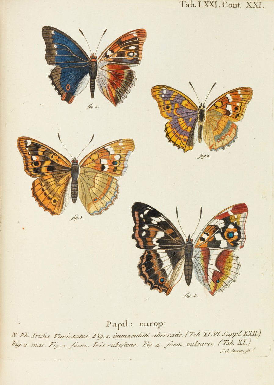 As borboletas As borboletas, 1777-1794. de Eugen Johann Christoph Esper