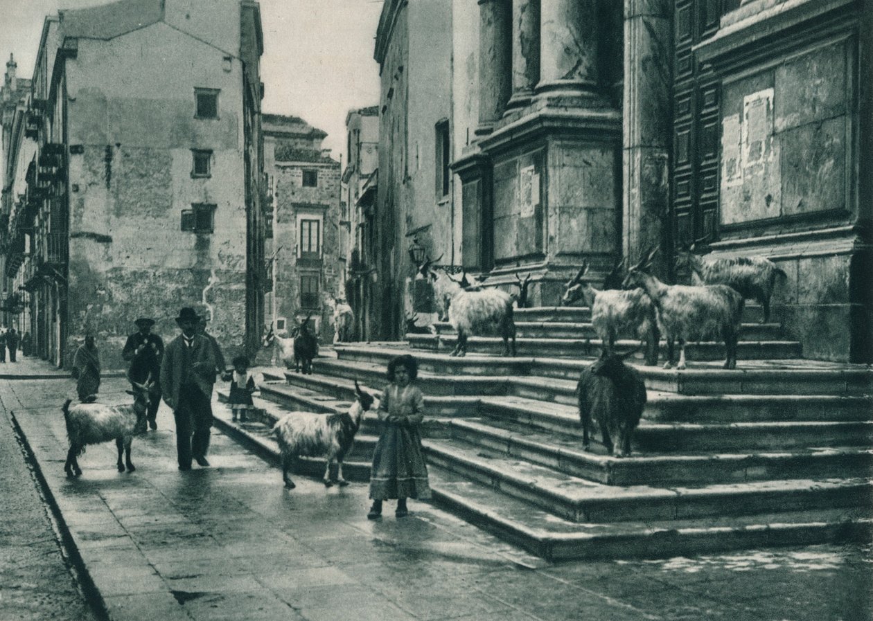 Cabras nos degraus da Catedral, Palermo, Sicília, Itália, 1927 de Eugen Poppel