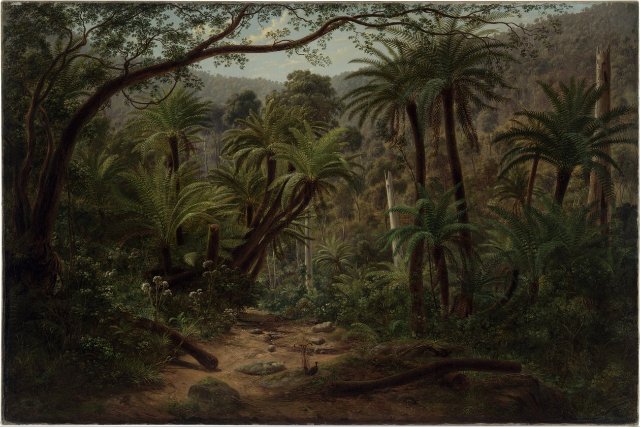 Ferntree Gully nas cordilheiras de Dandenong de Eugene von Guérard