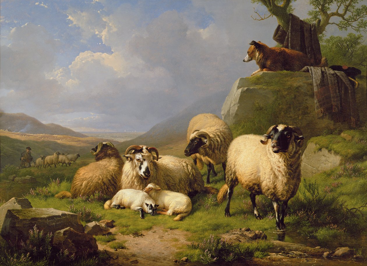 Ovelhas em uma paisagem, 1863 de Eugene Joseph Verboeckhoven