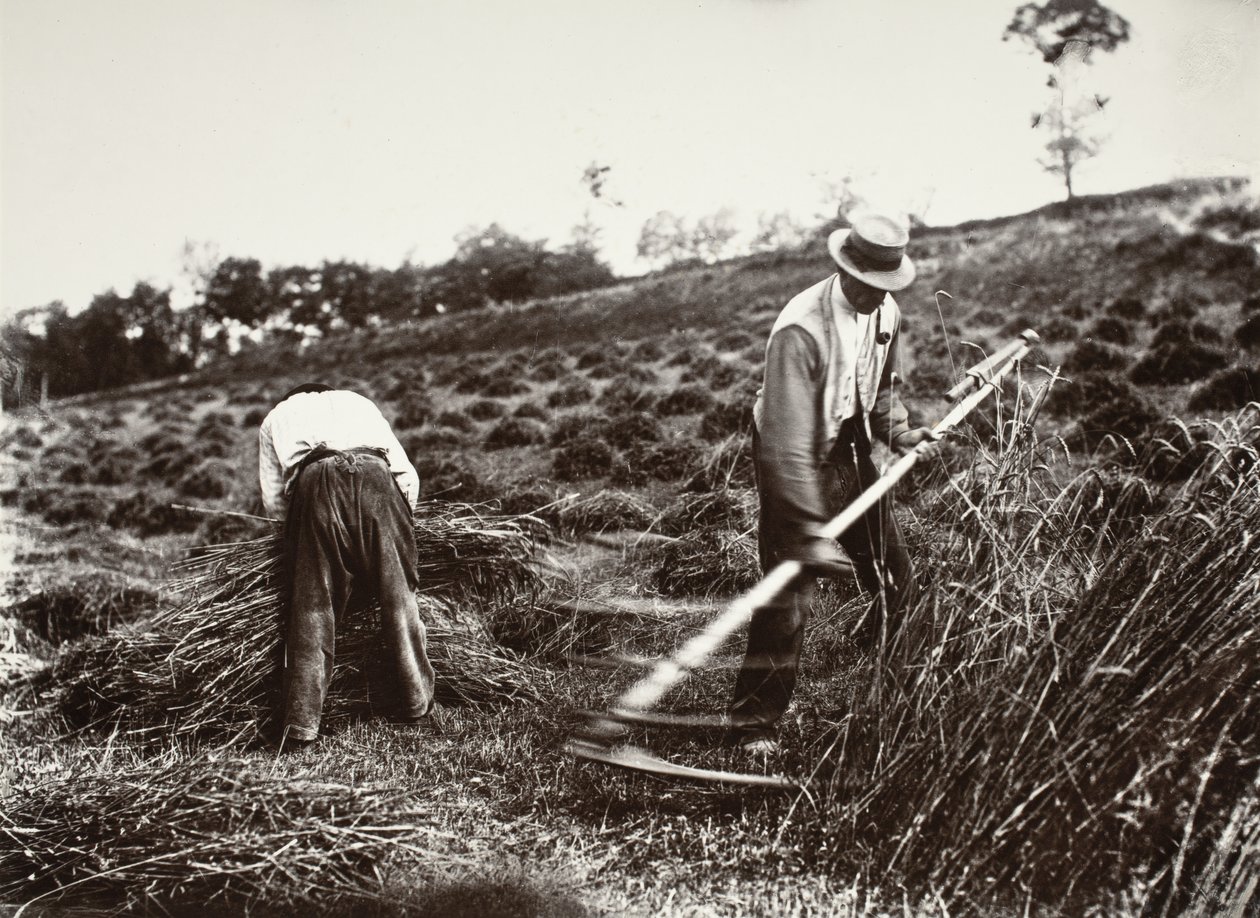 Ceifeiros, Somme de Eugène Atget
