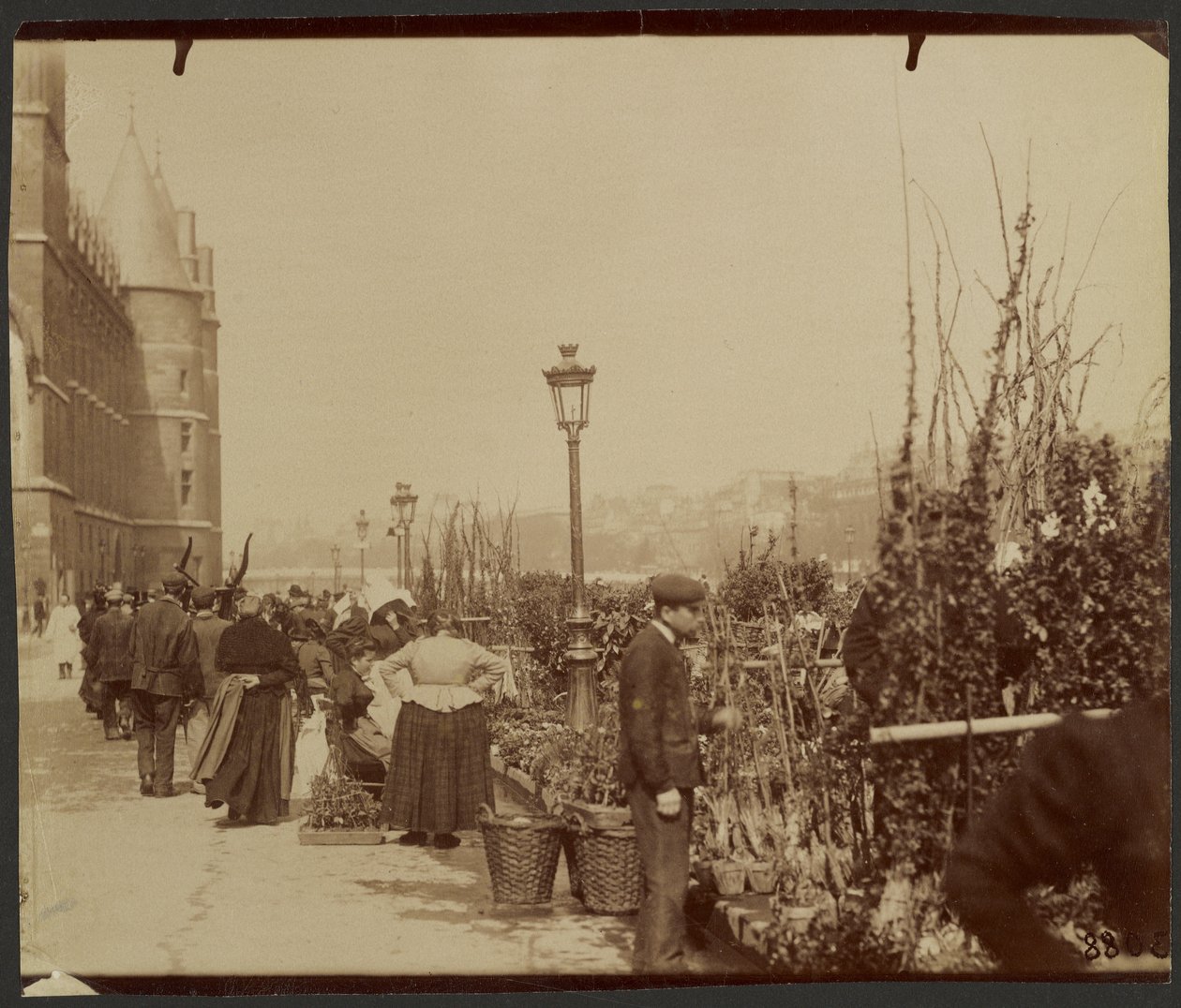 [O mercado das flores] de Eugène Atget