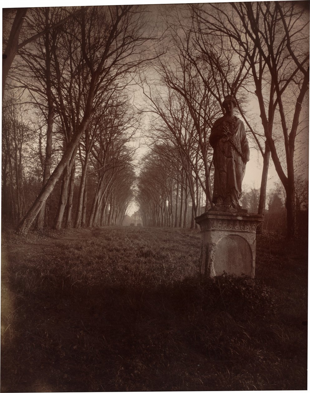 Parque de Sceaux,1925 (foto) de Eugène Atget