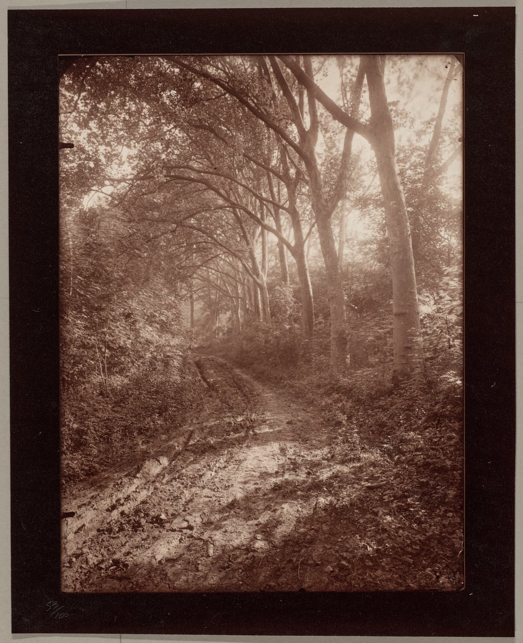 Parque de Sceaux de Eugène Atget